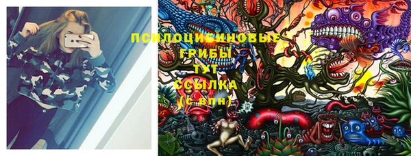 соль курить ск Бородино