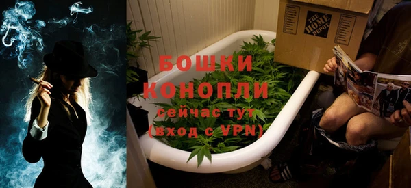 гашик Бронницы
