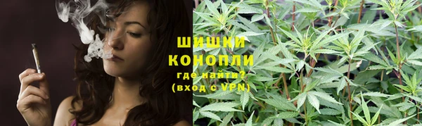 гашик Бронницы